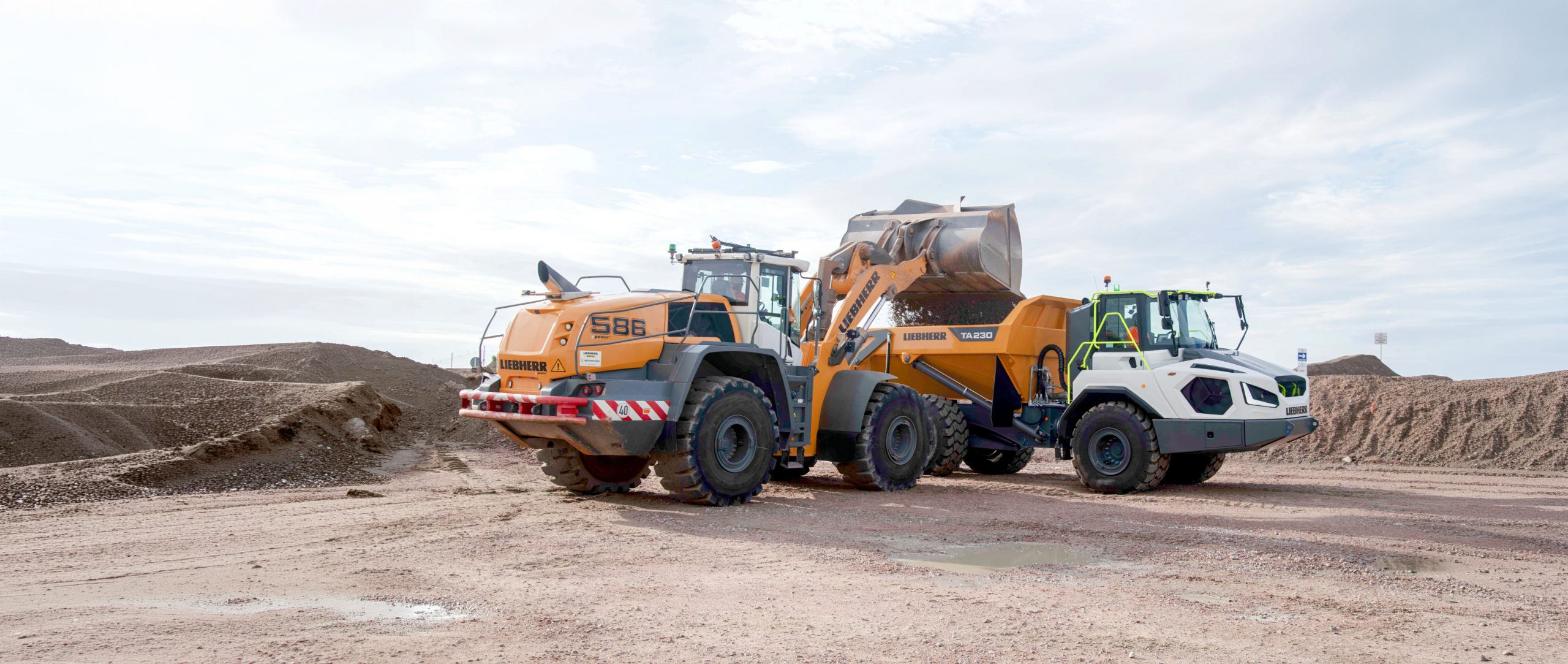 Ta230 And L 586 Rfs